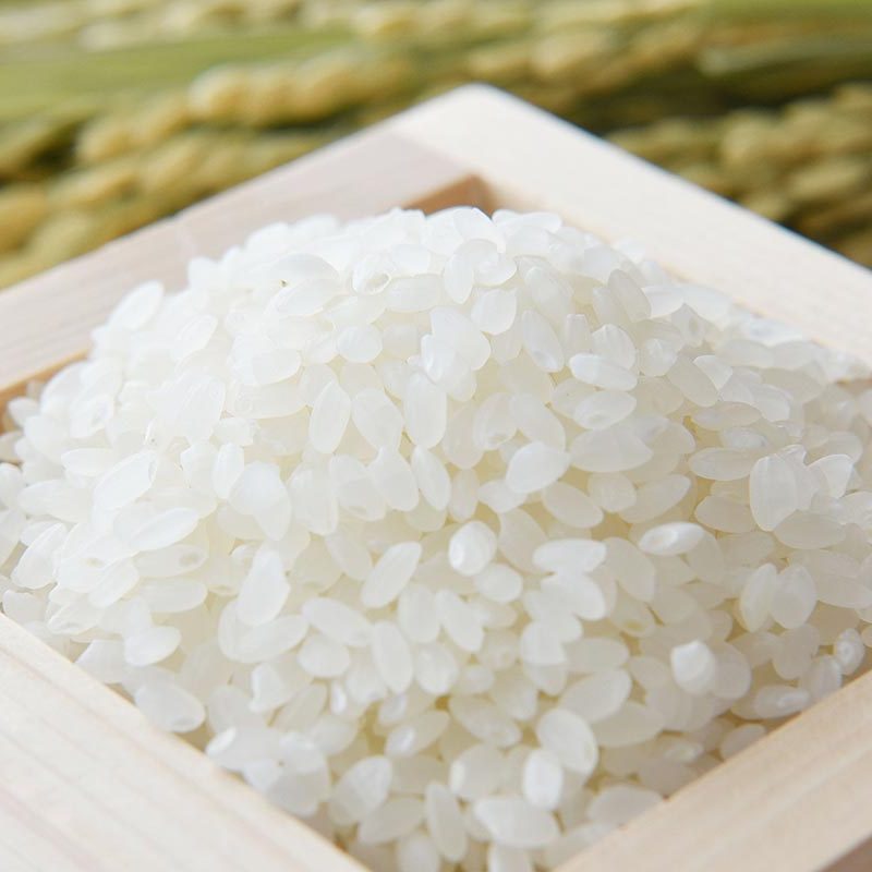 hakumai_masu